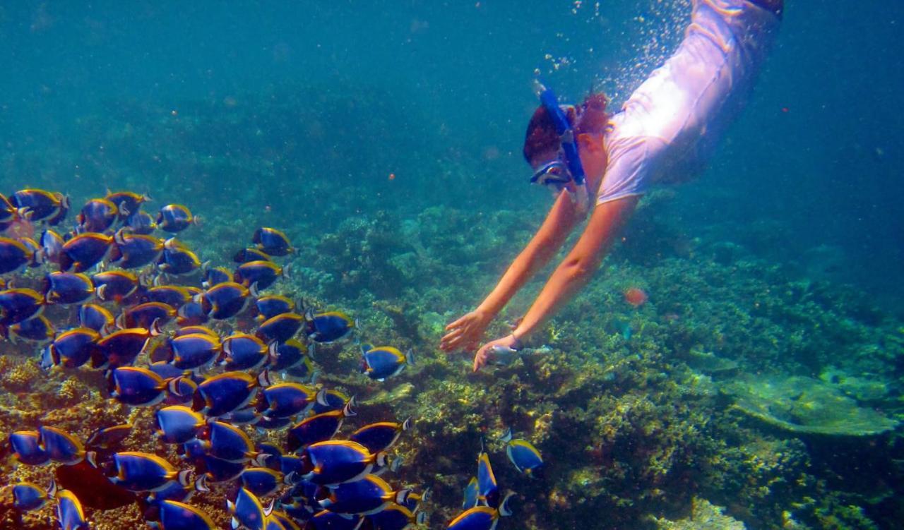 ホテル Palm Gate Maldives スルスドゥー エクステリア 写真